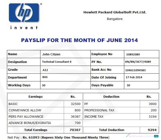 Download HP HEWLETT Packard GlobalSoft Pvt.Ltd payslip in Word and PDF formats Photoshop template